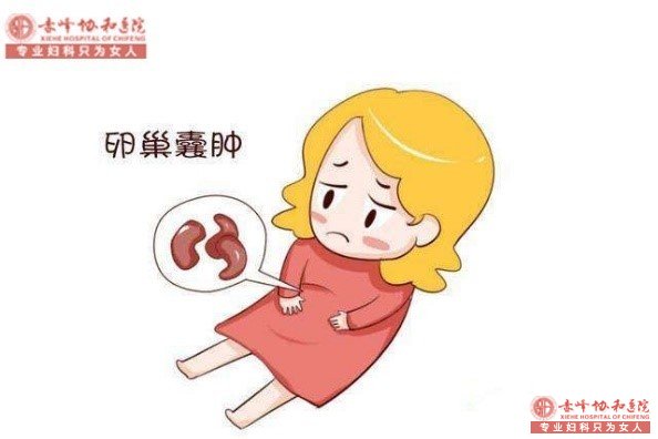 ���������ػ�����������ʲô��������zui����